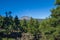 Hills and trees at Tenerife. Spain.