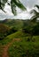 Hills in a tropical rainforest