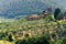 Hills in Tuscany near Artimino