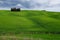 Hills of Tuscany. Val d`Orcia landscape in spring