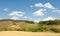 hills wheat field.