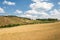 hills wheat field.