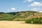 hills wheat field.