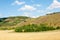 hills wheat field.