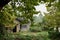 Hillside abandoned 1960s` dwelling buildings in woods