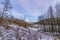 Hillside, bare trees and traces of snow on the ground with an industrial complex in the background