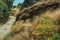 Hillside covered by dry bushes and rocks near Monsanto