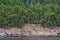 Hillside covered in evergreen and madrone trees above a rocky shore, as a background, San Juan Islands