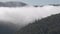 Hillside covered by pine forest with clouds