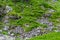 Hillside covered with rocks