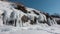 The hillside is covered with snow. In the spring sun there were thawed patches