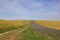 Hillside farm with barley crop