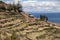 Hillside Farm on Lake Titicaca