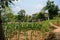 Hillside field before fenced villas in sunny summer