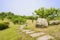 Hillside flagstone path in sunny summer