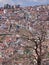 Hillside housing at Shimla in northern India