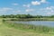 Hillside lake park with reeds and wildflowers blooming near Dallas, Texas