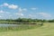 Hillside lake park with reeds and wildflowers blooming near Dallas, Texas