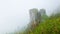 Hillside. Limestone rock in the clouds. Highlands Thailand