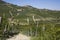 Hillside in Piemonte