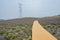 Hillside planked path in lavender field