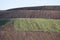 Hillside of recultivated landfill with gas pipes