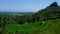 Hillside rice paddy terrace