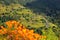 Hillside rice terraces in Nepal