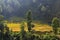 Hillside rice terraces in Nepal