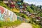 a hillside settlement with vibrant, decorative graffiti on walls