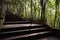 Hillside shady steps under pergola in woods on sunny day