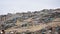 Hillside slums on the outskirts of Lima, Peru