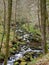 Hillside stream running through mossy rocks and boulders with overhanging forest trees in dense woodland