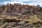 Hillside with trees burned by a forest fire next to the riverbed of the Tinto river, in Huelva, Spain