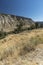 Hillside trees Mammoth Hot Springs Yellowstone