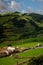 Hillside village, Azores, Portugal