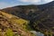 Hillside vineyard in Douro River region, Portugal