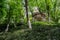 Hilltop gazebo in verdant spring