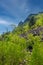 Hilltop at Lehigh Gap Nature Center