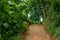 Hilltop road in Bandarban, Bangladesh. Sky, horizon, mountain forest in mountain day stock photo. Photo taken from Meghla,