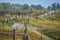 Hilly Boardwalk Walking Path, Kohler-Andrae State Park