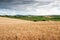 Hilly countryside of le Marche, Italy