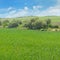 hilly field and blue sky