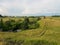 hilly field with yellowing grass