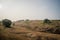 Hilly grassland covered in hay in India