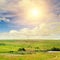 Hilly green field, windmill and sun on blue sky background