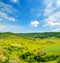 Hilly green fields with trees and blue sky