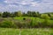 Hilly green meadows with forest belts and bushes under a cloudy sky