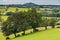 Hilly landscape around Bolland