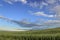 Hilly landscape with corn field immature dominated by clouds: Alta Murgia National Park, Apulia Italy.